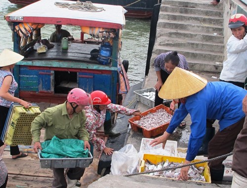 Chi trả bồi thường thiệt hại sự cố môi trường biển miền Trung: Kịp thời, công bằng, đúng đối tượng