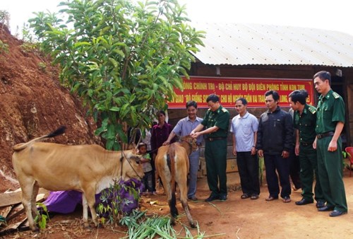 Bộ đội Biên phòng tỉnh Kon Tum trao bò tặng gia đình ông A Đàn ở xã Đăk Long, huyện Đăk Glei, tỉnh Kon Tum.