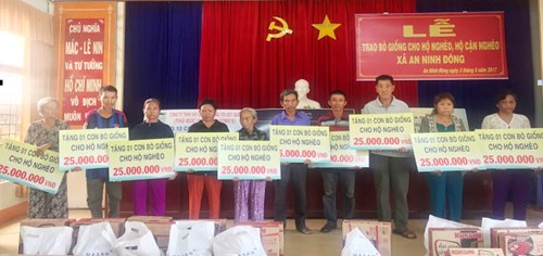 Các hộ gia đình tại xã An Ninh Đông, huyện Đức Hòa, tỉnh Long An nhận hỗ trợ nguồn vốn mua bò giống từ Tập đoàn Novaland.