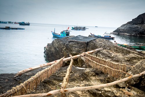Nằm trên một ngư trường rộng lớn, với nhiều tàu thuyền khai thác, người dân chủ yếu làm nghề nuôi trồng và đánh bắt thủy sản. Nhiều thuyền ghe ra vào, neo đậu, nghỉ ngơi, tránh trú bão, mua bán sản phẩm thủy sản khai thác tại đảo.