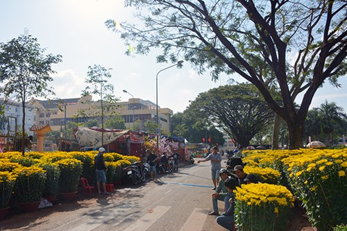 Chợ hoa Xuân Mậu Tuất tại Buôn Ma Thuột.