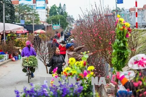 Sắc hoa ngày xuân. Ảnh minh họa: TTXVN.