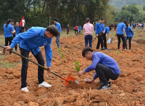 Đoàn viên, thanh niên tham gia Tết trồng cây Xuân Mậu Tuất tại xã Quân Bình, huyện Bạch Thông, tỉnh Bắc Kạn. Ảnh: NGHINH XUÂN.