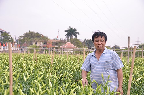 Ông Đỗ Đắc Tường phấn khởi vì được mùa hoa.