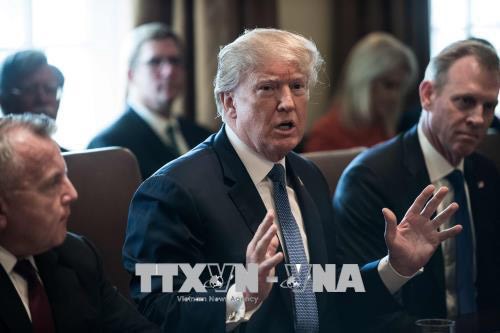 Tổng thống Mỹ Donald Trump (giữa) chủ trì cuộc họp nội các tại Washington DC ngày 9-4.