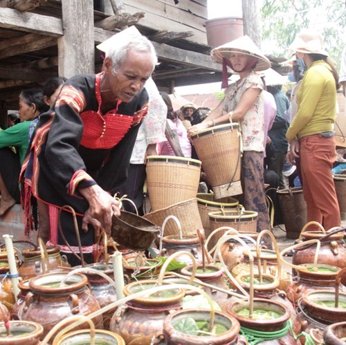 Thầy cúng Ksor Lol đổ nước vào các chum rượu chuẩn bị cho thanh niên trong làng cùng uống.