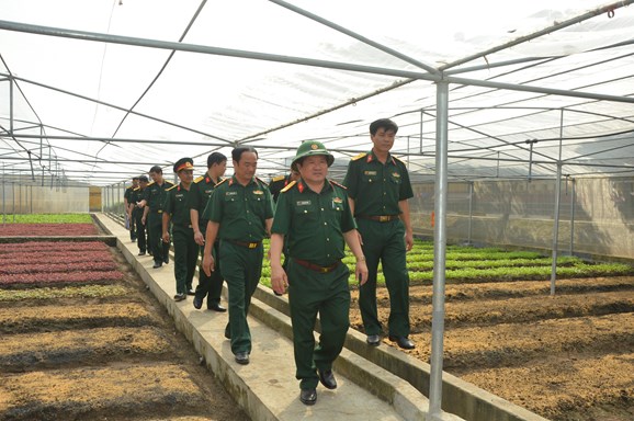 Lãnh đạo Cục Hậu cần Quân khu 3 kiểm tra vườn TGSX tập trung của Lữ đoàn 513. (Ảnh: ĐỨC THÀNH)