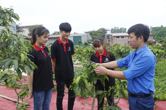 Đồng chí Bùi Phú Nam (ngoài cùng, bên phải) chia sẻ kinh nghiệm làm giàu với thanh niên địa phương.