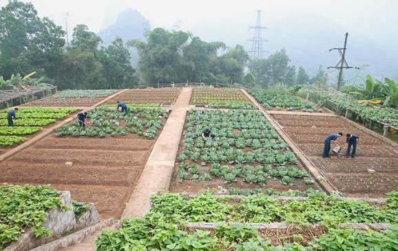 Khu tăng gia ở độ cao hơn 400m so với mực nước biển.