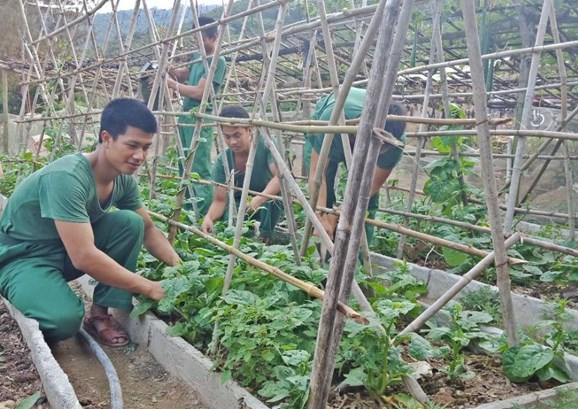 Binh nhất Nguyễn Văn Sơn (ngoài cùng, bên trái) cùng đồng đội trong vườn tăng gia của đơn vị.