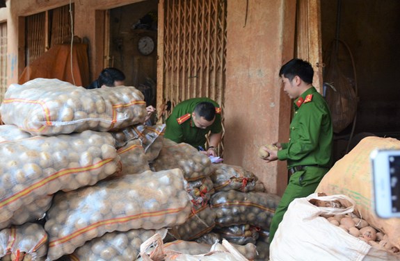 Cơ quan chức năng thu giữ khoai tây Trung Quốc giả mạo khoai tây Đà Lạt tại chợ nông sản Đà Lạt