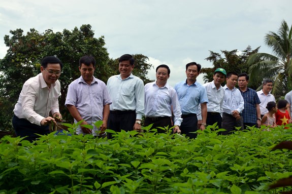 Phó thủ tướng Vương Đình Huệ thăm mô hình sản xuất của hộ gia đình nông dân tại xã nông thôn mới Thanh Hưng, huyện Điện Biên, tỉnh Điện Biên.