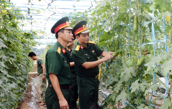 Chỉ huy Sư đoàn 309 kiểm tra công tác tăng gia ở Trung đoàn 31.