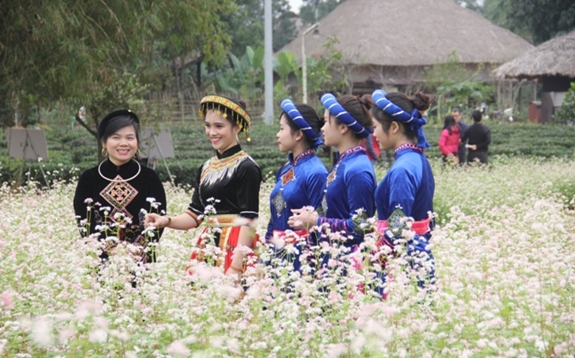 Vườn hoa tam giác mạch tại Làng Văn hóa - Du lịch các dân tộc Việt Nam sẽ là nơi thu hút nhiều khách tham quan.