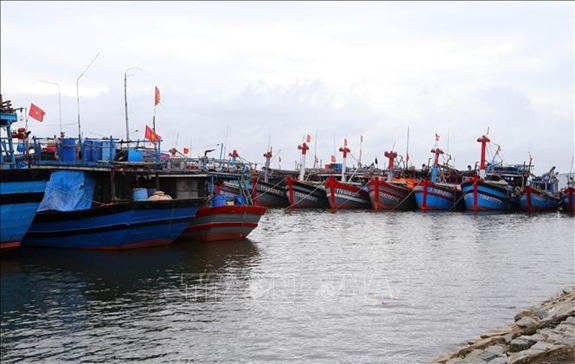Ảnh minh họa. Nguồn: TTXVN