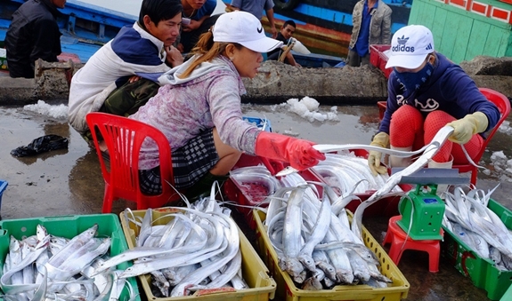 Ngày cuối năm, cảng cá càng thêm nhộn nhịp, tấp nập.