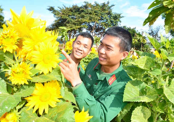 Các chiến sĩ trong vườn hoa hướng dương của Tiểu đoàn 1, Trung đoàn 48.