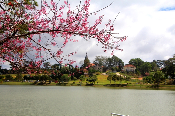 Mùa xuân bên hồ.