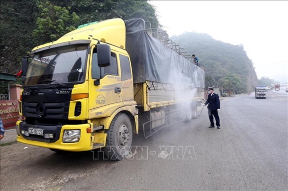 Nhân viên trạm kiểm dịch kiểm tra giám sát các xe chở gia súc và phun thuốc khử trùng tại chốt kiểm dịch Dốc Xây trên quốc lộ 1A, tỉnh Thanh Hoá.