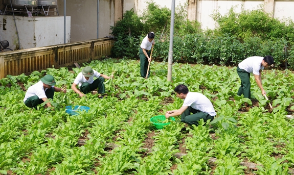 Ngoài tiền ăn cơ bản hằng ngày, hiện nay, đơn vị đã tự túc được 100% rau xanh, củ, quả các loại