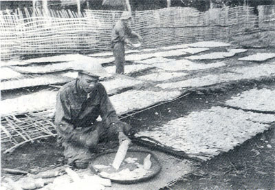 No image available