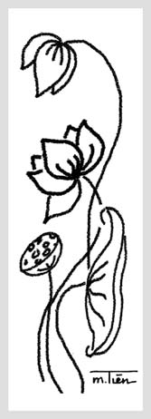 No image available