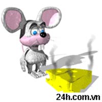 No image available