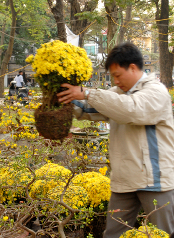 No image available