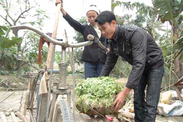 No image available