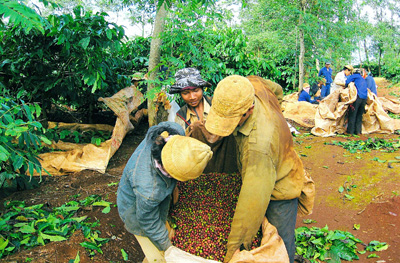 No image available