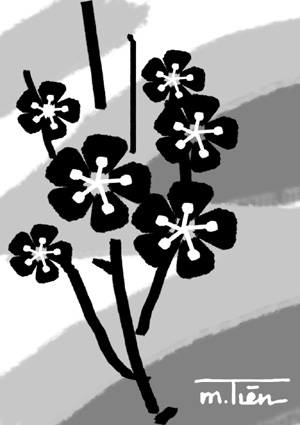 No image available
