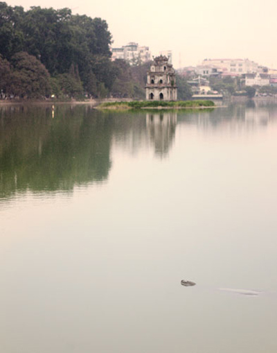 No image available