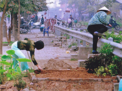No image available