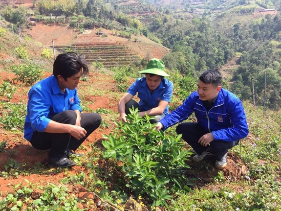 Thường trực Huyện đoàn Mù Cang Chải (Yên Bái) hướng dẫn triển khai mô hình thanh niên tham gia phát triển kinh tế tại xã La Pán Tẩn.