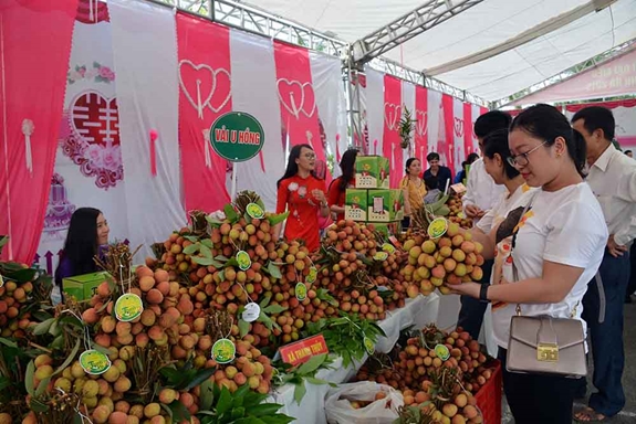 Một gian hàng bày bán, giới thiệu vải chín sớm U Hồng tại ngày hội