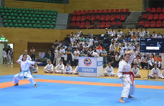 Các VĐV tham gia nội dung Thi đấu quyền giải Taekwondo.