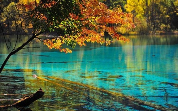 Cảnh sắc mùa thu vàng trên khắp thế giới