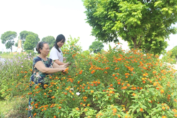 Bà Nguyễn Thị Huệ cùng cháu chăm sóc đoạn đường hoa trong xã Yên Mỹ (Thanh Trì, Hà Nội).