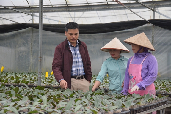 Sáp nhập hai địa phương là cơ hội để hoa lan tại trang trại Hoa Đồng Ho (xã Sơn Dương, huyện Hoành Bồ) được tiêu thụ nhiều hơn.