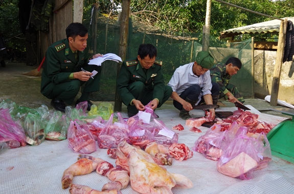 Cán bộ, chiến sĩ Đồn Biên phòng Tri Lễ chuẩn bị thịt lợn cấp cho người dân bản Rào Tre đón Tết Chăm Cha Bới.