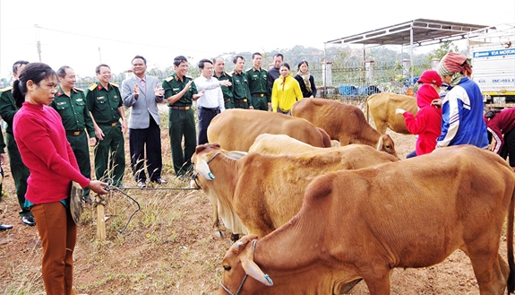 Lãnh đạo Binh đoàn 16 tặng bò sinh sản cho hộ đồng bào dân tộc thiểu số huyện Tuy Đức (Đắc Nông).