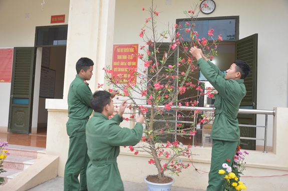 Chuẩn bị cành đào đón Tết.
