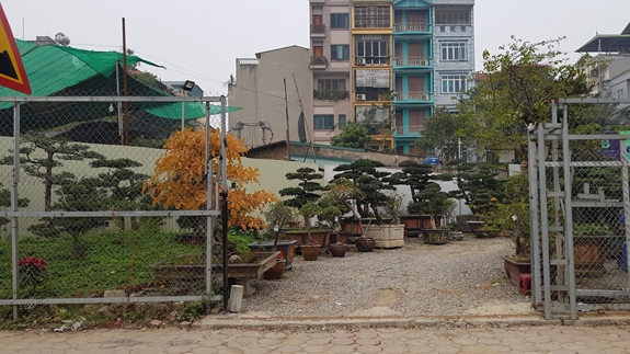 Một điểm kinh doanh gốm sứ, cây cảnh ven đường.