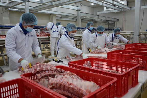 Công nhân Tập đoàn Masan tại tỉnh Hà Nam chế biến thịt lợn mát.