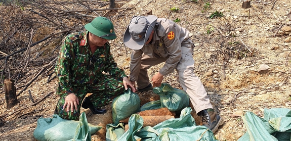 Bộ đội công binh Bộ CHQS tỉnh Quảng Trị xử lý bom mìn, vật nổ còn sót lại sau chiến tranh.