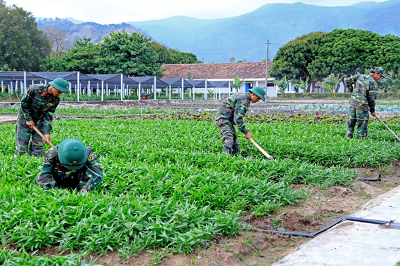 Chiến sĩ Đại đội 1, Tiểu đoàn 1 chăm sóc vườn rau.