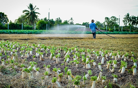 Việc nhiều hộ dân khai thác nước ngầm để phục vụ sản xuất là một trong những nguyên nhân dẫn đến thiếu hụt nguồn nước ngầm phục vụ sinh hoạt trong mùa hạn hán, mặn xâm nhập.