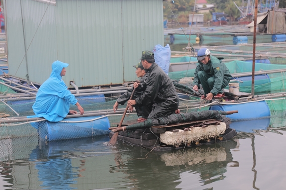 Bộ đội, dân quân dốc sức giúp dân chống bão
