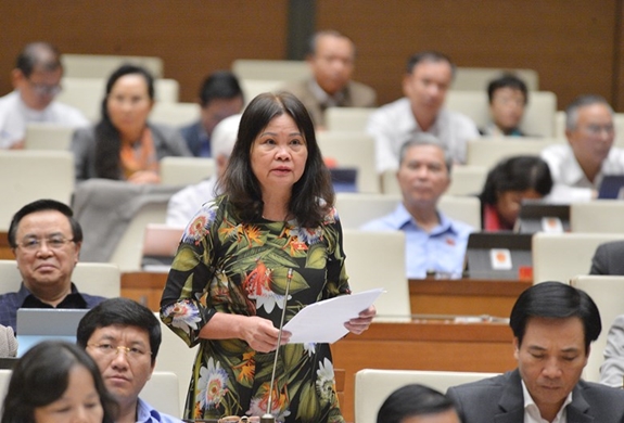 Tuyệt đối không bổ sung bất kỳ một dự án thủy điện nào sử dụng đến diện tích đất rừng tự nhiên