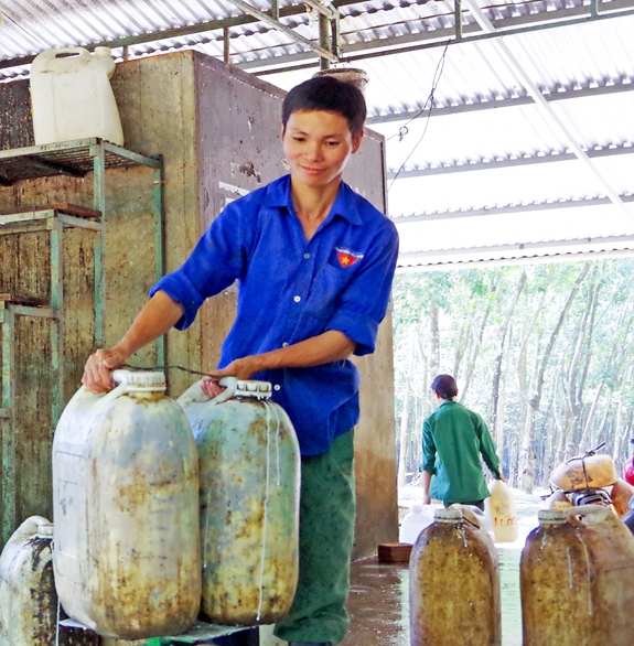 Anh Tô Ngọc Duy cân mủ cao su.